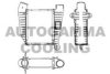 OPEL 090529903 Intercooler, charger